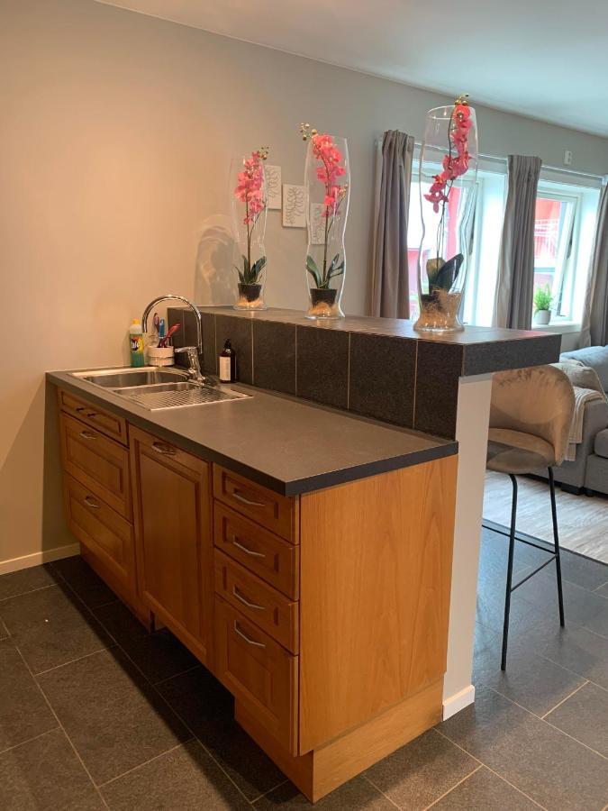 Notodden Sentrum Apartment No 8 Luaran gambar